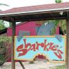 Le Snack bar « Sharkie's »