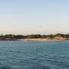 Les mangroves de « Iguana island »