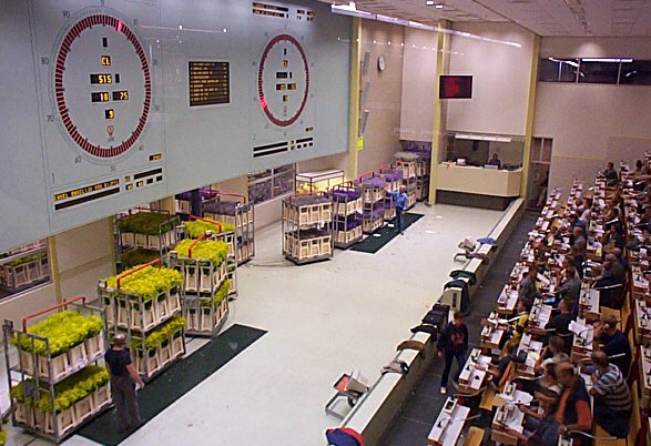 Aalsmeer-Centre de distribution et vente aux ench�res de fleurs-4.jpg - 76.79 K