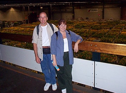 Aalsmeer-Centre de distribution et vente aux ench�res de fleurs-8.jpg - 49.41 K