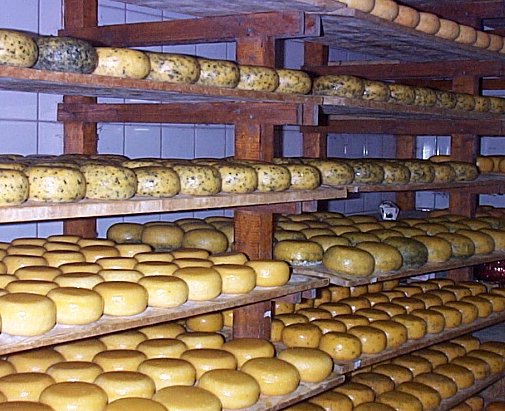 Monnickendam-Fabrique de fromage-1.jpg - 70.66 K
