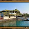 Excursion Nusa Lembongan (2005)