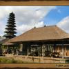 Excursion Tanah Lot (2005)