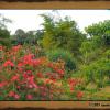 Excursion Tanah Lot (2005)