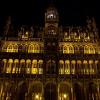 La Grand'Place - Illuminations - Maison du Roi