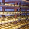 Fabrique de fromage