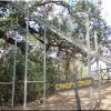 Canyon Canopy (Hacienda Guachipelin)