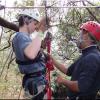 Canyon Canopy (Hacienda Guachipelin)