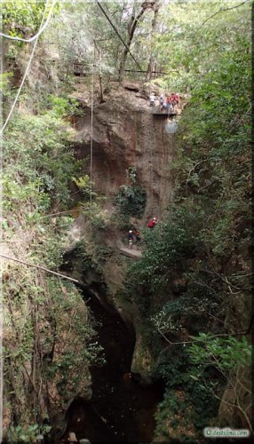 Canyon Canopy (Hacienda Guachipelin)