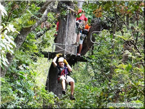 Canyon Canopy (Hacienda Guachipelin)