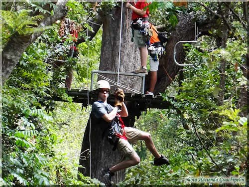 Canyon Canopy (Hacienda Guachipelin)