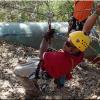 Canopy Tour - La Isla