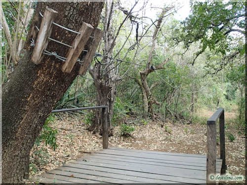 Canopy Tour - La Isla