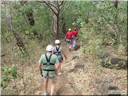 Canopy Tour - La Isla