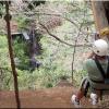 Canopy Tour - La Isla