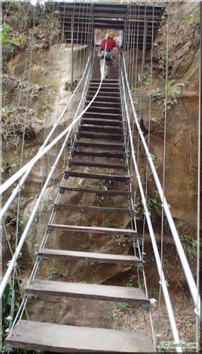 Canopy Tour - La Isla