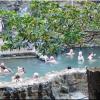 Hotsprings Rio Negro