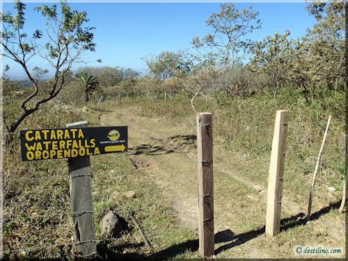 Cascada Oro Pendola