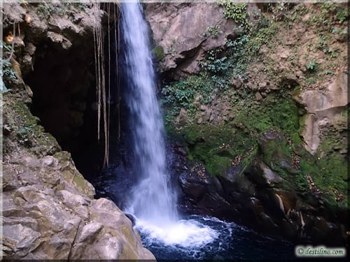 Cascada Oro Pendola