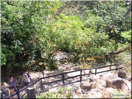 Trek Las Pailas - Rincon de la Vieja