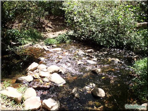 Trek Las Pailas - Rincon de la Vieja