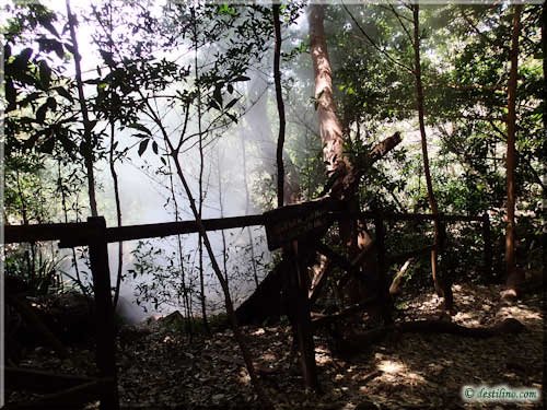 Trek Las Pailas - Rincon de la Vieja