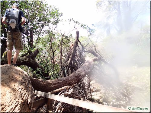 Trek Las Pailas - Rincon de la Vieja