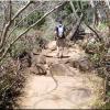 Trek Las Pailas - Rincon de la Vieja