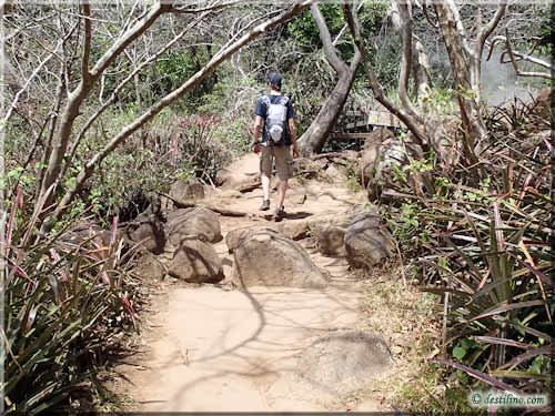 Trek Las Pailas - Rincon de la Vieja