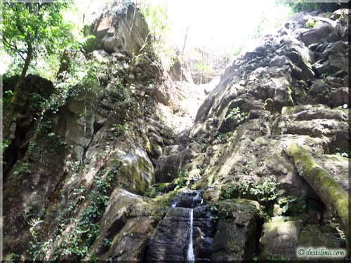 Trek Las Pailas - Rincon de la Vieja