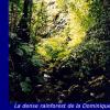 Croisiere Antilles (1998)