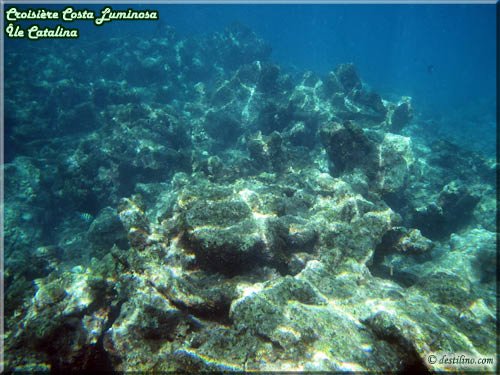 Snorkeling at Catalina Island (Costa Luminosa)