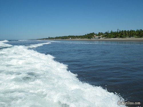 Vagues du Pacifique = lames de fond dangereuses 