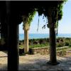 Le jardin botanique de Balchik