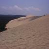 Vue du haut de la dune, côté forêt 