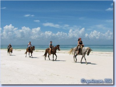 Promenade en cheval