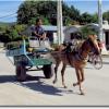 Village de Pilon. Transport typique à Cuba!