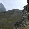 Terrasses d'agriculture de Machu Picchu 