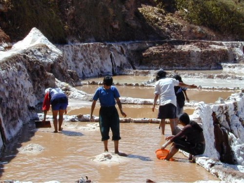 Travailleurs qui récoltent le sel 