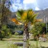 Jardins de notre petit hôtel familial de Yucay 