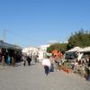 Visite du marché de Djerba