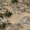 Carthage, les thermes d'Anthonin, mosaiques romaines