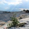 Denizli - Château de coton de Pamukkale