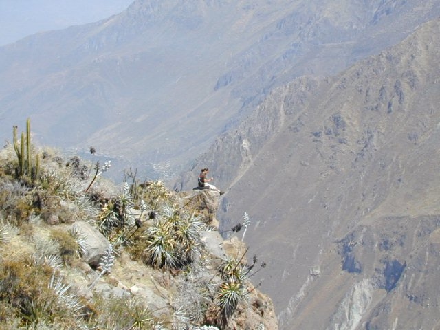 cayon de colca - 15