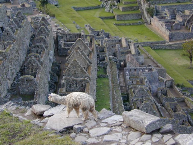 Machu Picchu
