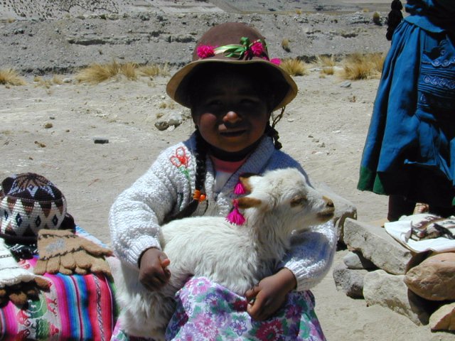 sierra-01.jpg 33.02 K